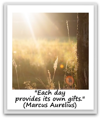 "Each day provides its own gifts." (Marcus Aurelius)