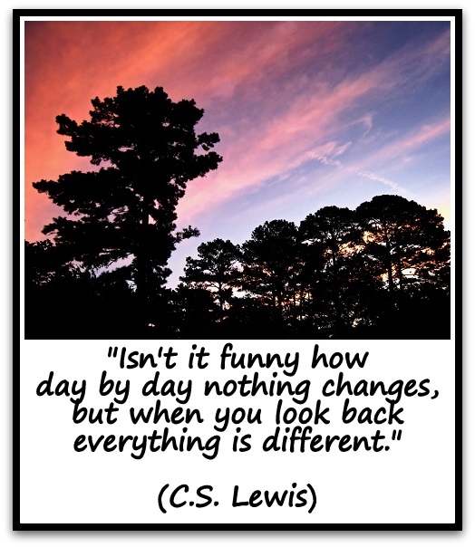 "Isn't it funny how day by day nothing changes, but when you look back everything is different." (C.S. Lewis)