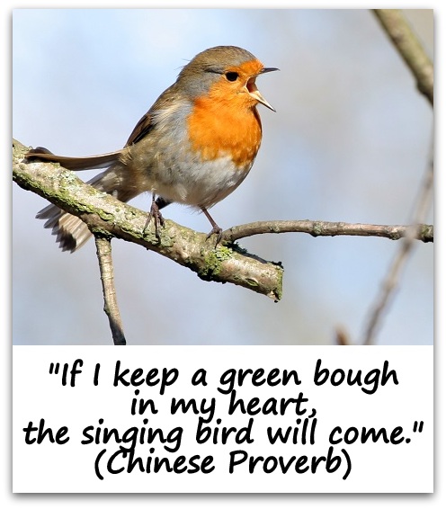 "If I keep a green bough in my heart, the singing bird will come." (Chinese Proverb)