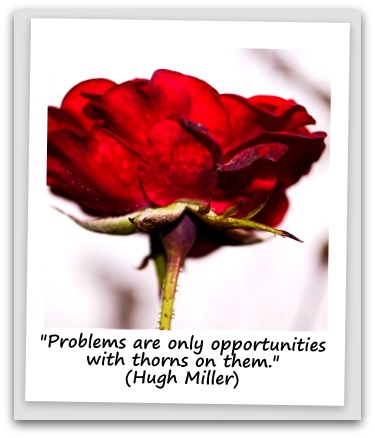 "Problems are only opportunities with thorns on them." (Hugh Miller)