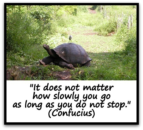 Image result for it does not matter how slowly you go