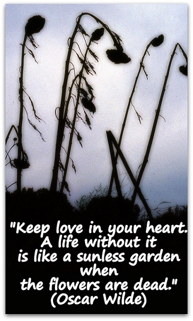 "Keep love in your heart. A life without it is like a sunless garden when the flowers are dead." (Oscar Wilde)