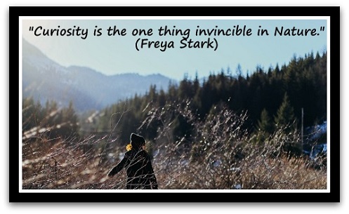 "Curiosity is the one thing invincible in Nature." (Freya Stark)