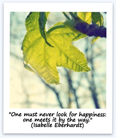 "One must never look for happiness: one meets it by the way." (Isabelle Eberhardt)
