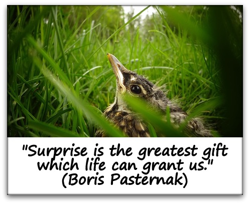 "Surprise is the greatest gift which life can grant us." (Boris Pasternak)