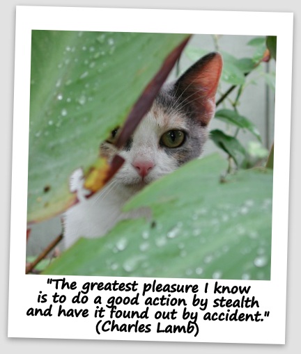 "The greatest pleasure I know is to do a good action by stealth and have it found out by accident." (Charles Lamb)
