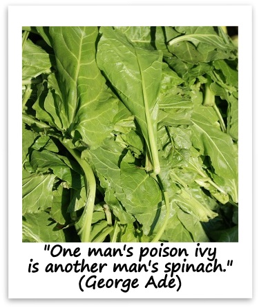 "One man's poison ivy is another man's spinach." (George Ade)