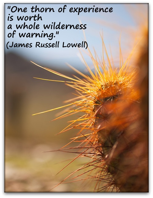 "One thorn of experience is worth a whole wilderness of warning." (James Russell Lowell)