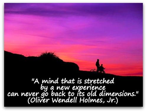 "A mind that is stretched by a new experience can never go back to its old dimensions." (Oliver Wendell Holmes, Jr.)