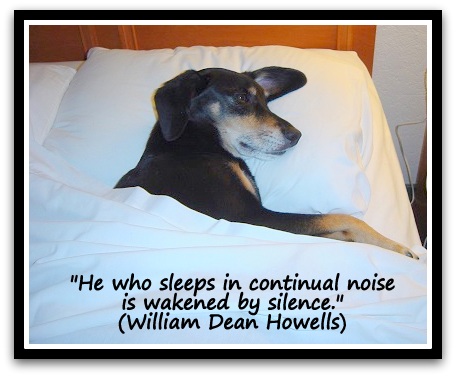 "He who sleeps in continual noise is wakened by silence." (William Dean Howells)