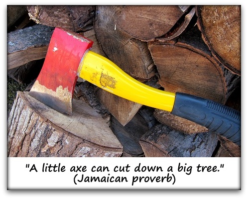 "A little axe can cut down a big tree." (Jamaican proverb)