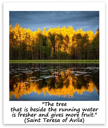"The tree that is beside the running water is fresher and gives more fruit." (Saint Teresa of Avila)