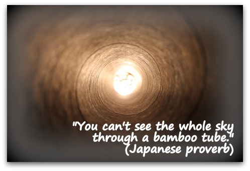 "You can't see the whole sky through a bamboo tube." (Japanese proverb)