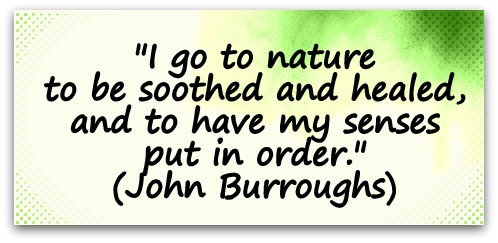 "I go to nature to be soothed and healed, and to have my senses put in order." (John Burroughs)