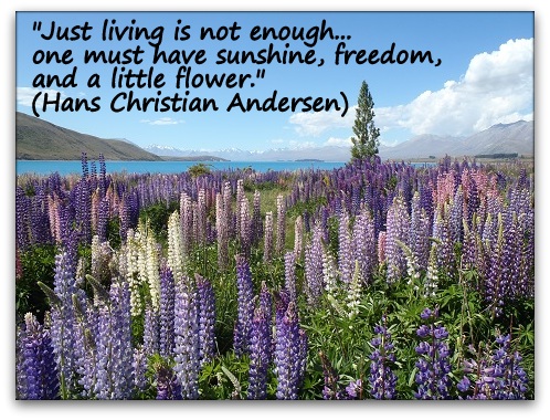 "Just living is not enough... one must have sunshine, freedom, and a little flower." (Hans Christian Andersen)