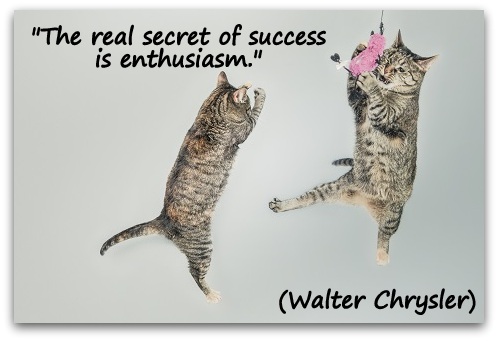 "The real secret of success is enthusiasm." (Walter Chrysler)