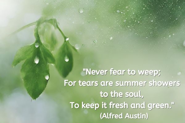 Although you cant see any frame etc this looks like it is an image looking through a glass window. The background is out of focus but are natural different shades of green. In the foreground, almost touching the glass are a couple of grean healthy leaves. Rain drops are evident on the glass.
The text reads "Never fear to weep; For tears are summer showers to the soul, To keep it fresh and green." (Alfred Austin)