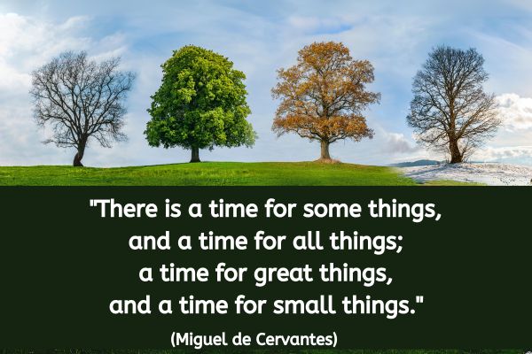 An oak type tree surrounded by grass is shown 4 times in different seasons of the year. The left hand image has some leaves started to shoot with clouds behind. To the right of that is much clearer sky with full lush green leaves all over the summer tree. Next along is the autumn image with some readish golden leaves on the tree but many have fallen on to the grass. The last in line is a tree with its branches totaly bare with snow on the ground.
The text below reads: "There is a time for some things, and a time for all things; a time for great things, and a time for small things." (Miguel de Cervantes)