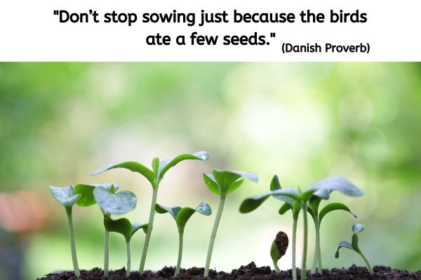 The background of this image is out of focus but looks like it is green plants. In focus in the foreground is rich looking soil with green shoots sprouting in several spots. The text reads: "Don't stop sowing just because the birds ate a few seeds." (Danish proverb)