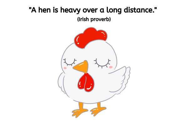This is a drawn image of a hen on a white background. The hen is stood and has light grey feathers and orange beak and feet. The eyes are drawn as if closed and with eyelashes. She has red plumage on the top of her head and under her beak.
The text reads: "A hen is heavy over a long distance." (Irish proverb)