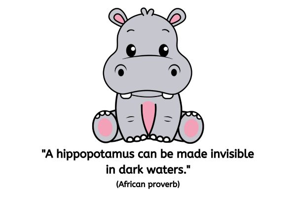 A drawing of a hippopotamus sat facing us with his front legs together and back legs sprayed outwards. The hippo has pink patches on the underside of his back two feet, the part of his chest/belly that we can see, and pink inner ears. The text reads: "A hippopotamus can be made invisible in dark waters." (African proverb)