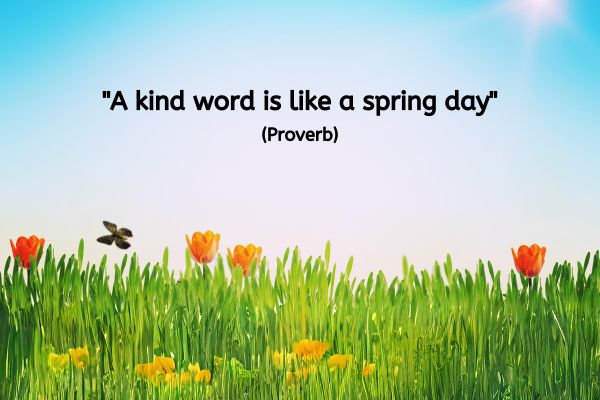 This is an image of lush green grass with yellow, orange and red flowers growing among the blades. A couple of butterflies are flying around under a clear blue sky, with the haze of the sun shining in the top right-hand corner of the image. The text reads: "A kind word is like a spring day" (Proverb)
