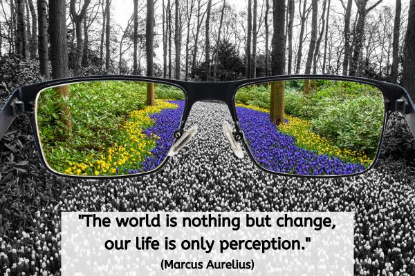 the plants look like they may be something like a snowdrop. A pair of glasses is being held up and through each lens the image changes from black and white to colour. The addition of adding the colours of purples, yellows, green and brown brings a whole different perspective to the rest of the image. The text reads: "The world is nothing but change, our life is only perception." (Marcus Aurelius)