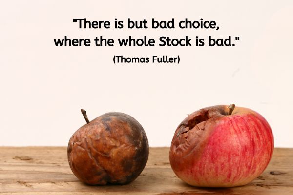 Two apples rest on a wooden surface. The one to the left is fully withered and soft. The one to the right is half rotten.
The text reads: "There is but bad Choice, where the whole Stock is bad." (Thomas Fuller)