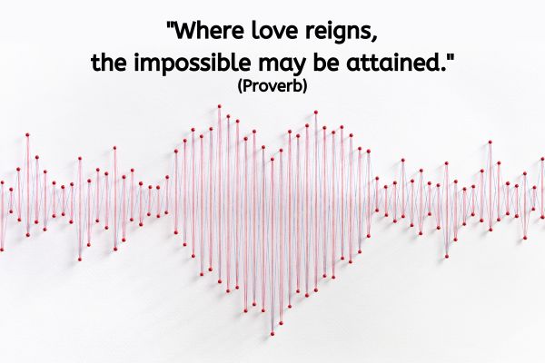 The image depicts an artistic representation of a heart made from strings and pins. Red pins are arranged on a white background, and red strings are threaded between the pins to form the outline of a heart in the centre. The strings extend outward in a pattern that resembles a sound wave or heartbeat, suggesting movement and vitality. The text reads: "Where love reigns, the impossible may be attained." (Proverb)