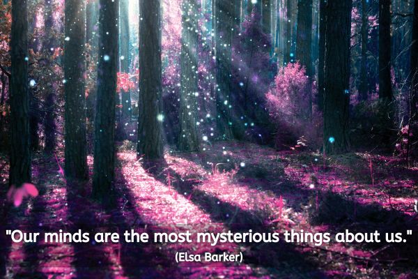 The image portrays a mesmerizing forest scene bathed in ethereal and magical light. The woods are dense with tall, slender trees, and the forest floor is carpeted with what appears to be a vibrant, pinkish-purple hue. Rays of light filter through the canopy, casting beautiful, speckled patterns of illumination and creating a dreamlike atmosphere. The scene is enhanced by floating particles or sparks that resemble tiny stars or fireflies, adding to the overall mystique and enchantment of the setting. Accompanying this visual feast is a quote by Elsa Barker: "Our minds are the most mysterious things about us."