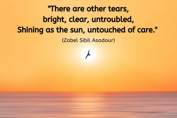 The outline of a single bird is silhouetted in front of a beautiful sunrise. The sky is clear and all orange and red. A clear, calm sea is in the for front of the image.
The text is a quote: "There are other tears, bright, clear, untroubled, Shining as the sun, untouched of care." (Zabel Sibil Asadour)