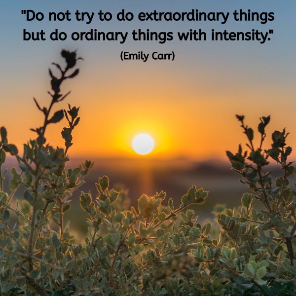 A close-up of green shrubs in the foreground, with the sun setting in the background and casting warm light. The quote in black text reads: "Do not try to do extraordinary things but do ordinary things with intensity." (Emily Carr)