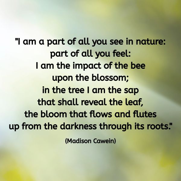 A soft green and yellow background with a faint blur of leaves or foliage evokes a sense of nature and growth. Overlaid text reads: “I am a part of all you see in nature: part of all you feel: I am the impact of the bee upon the blossom; in the tree I am the sap that shall reveal the leaf, the bloom that flows and flutes up from the darkness through its roots.” (Madison Cawein)