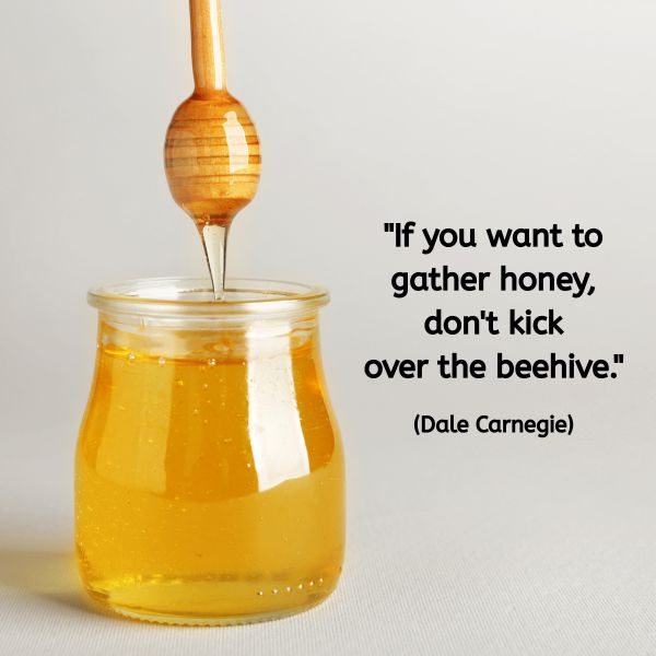 A glass jar of golden honey sits on a pale surface. Above it, a wooden honey dipper is lifting up, with honey slowly dripping down. Overlaid text reads: “If you want to gather honey, don't kick over the beehive.” (Dale Carnegie)