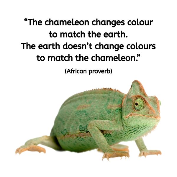 A green chameleon stands against a white background. Beside it is a quote in bold black text: “The chameleon changes colour to match the earth. The earth doesn’t change colours to match the chameleon.” (African proverb)