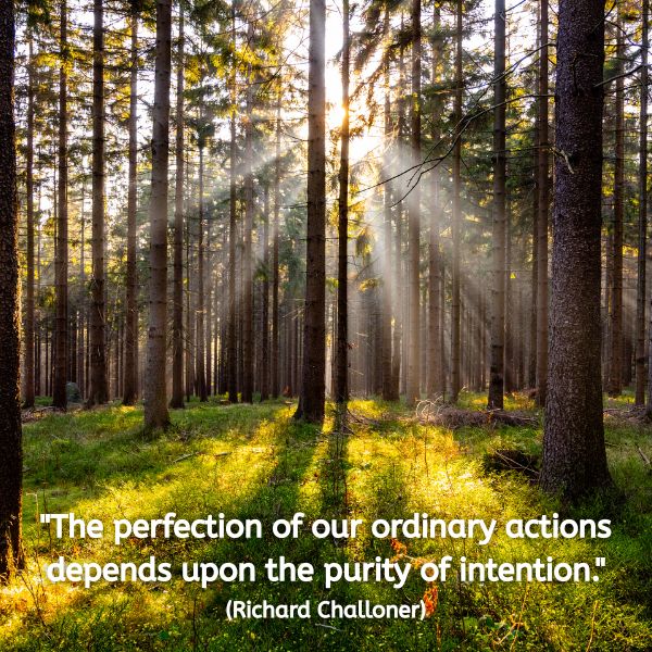 Sunlight streams through tall pine trees in a forest, casting soft rays onto a green mossy floor. The atmosphere is still and spacious. Overlaid text reads: “The perfection of our ordinary actions depends upon the purity of intention.” (Richard Challoner)
