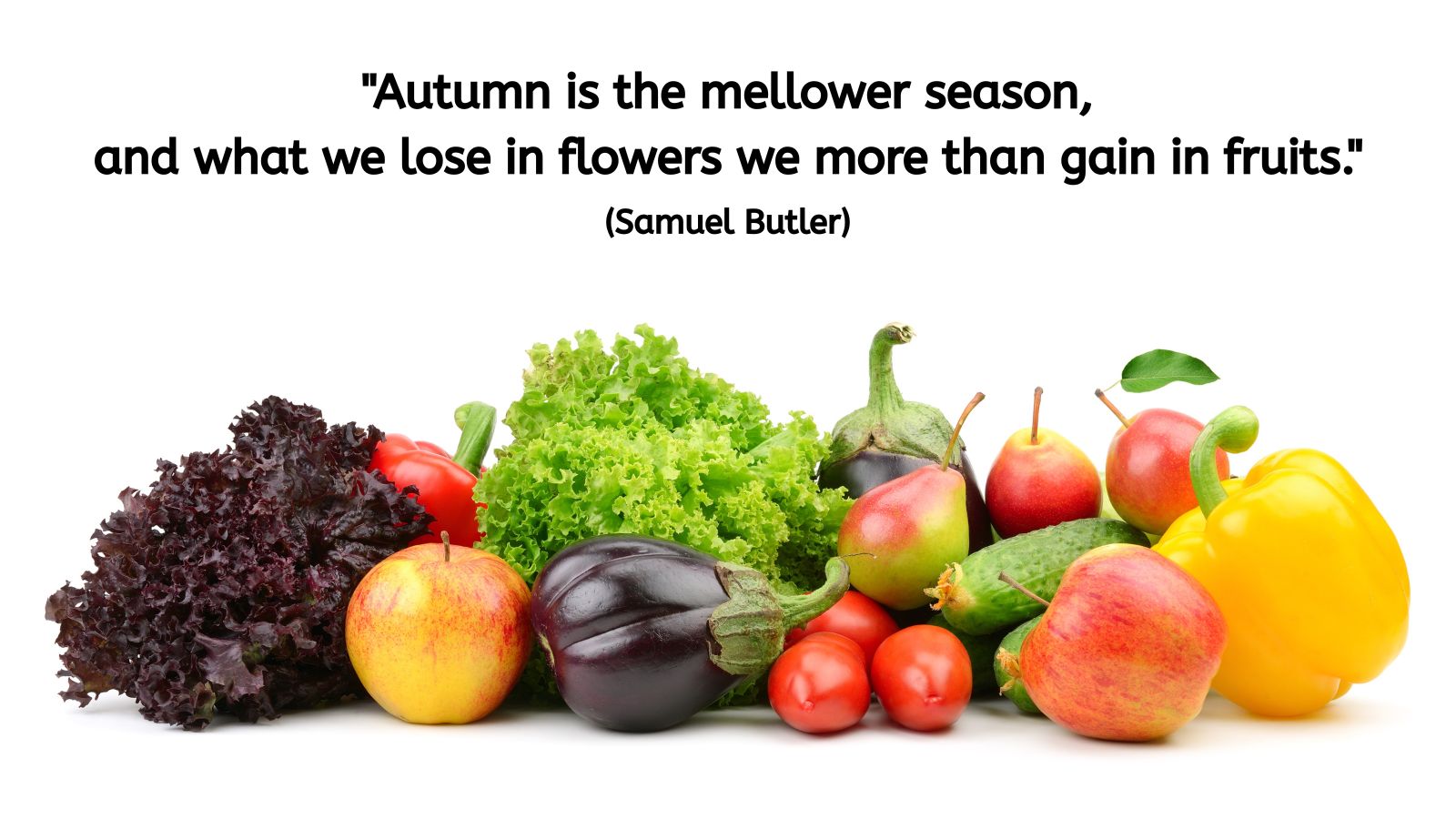 A variety of fresh fruits and vegetables — including apples, pears, lettuce, tomatoes, eggplant, and a yellow pepper — sit against a clean white background. Text on the image reads: "Autumn is the mellower season, and what we lose in flowers we more than gain in fruits." (Samuel Butler) The image evokes abundance, natural cycles, and gentle maturity.