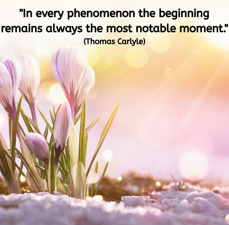Soft pastel light falls on delicate crocus flowers emerging through the snow. Above the image is the quote: “In every phenomenon the beginning remains always the most notable moment.” (Thomas Carlyle) The image captures the freshness, fragility, and quiet beauty of beginnings.