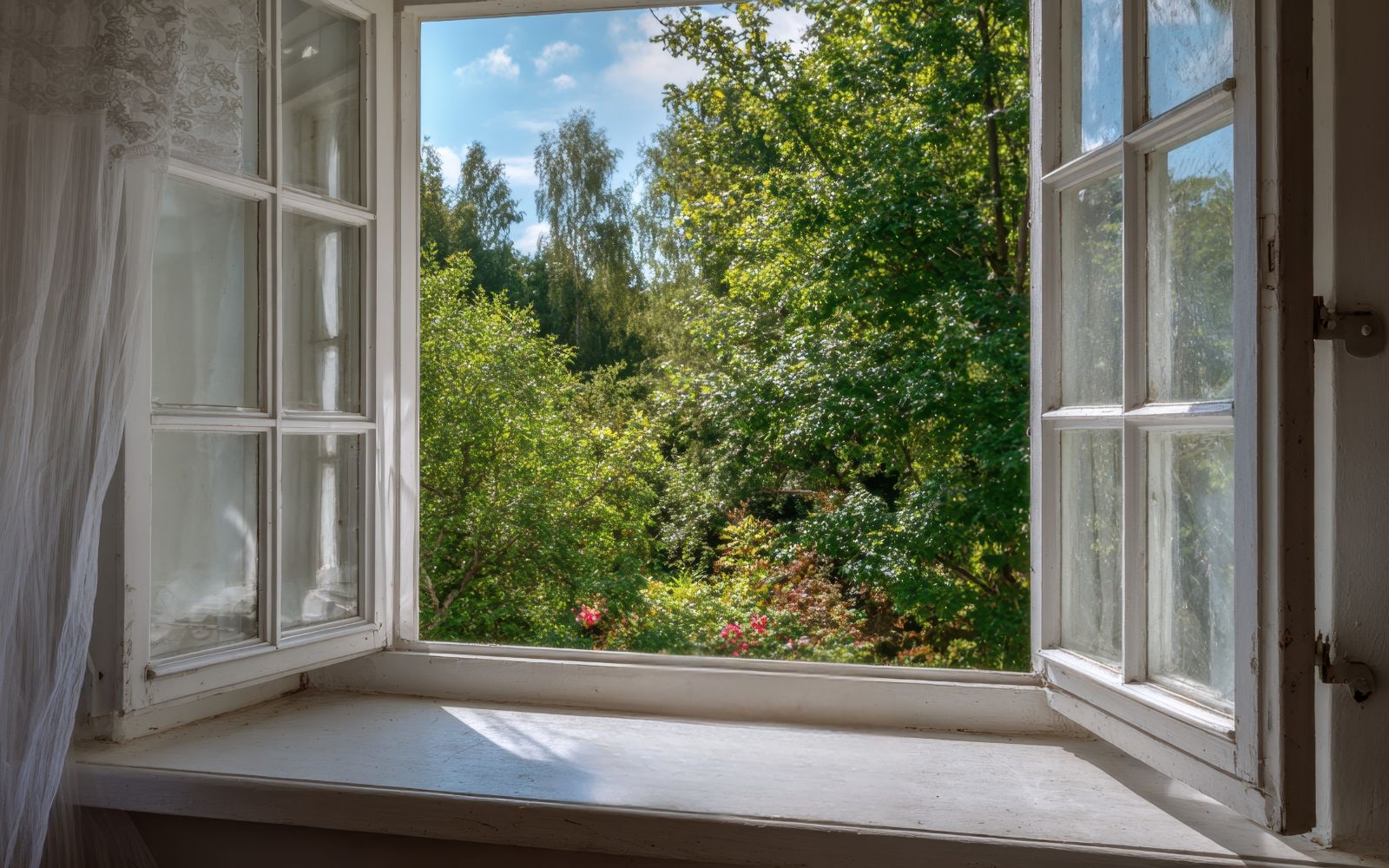 An open window looking out onto a green garden and trees in daylight.